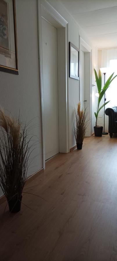 Ntn House Panzió St. Gallen Kültér fotó
